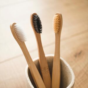 ShoreBristle Bamboo Toothbrush I Eco-Friendly Bamboo Toothbrush